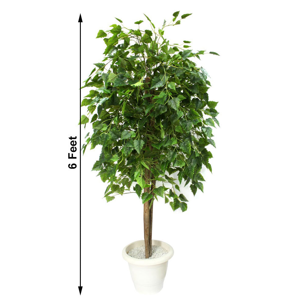 Plants, (Dekorr) Green, Artificial Plants, Home Decor Plants, Plants - EL2307