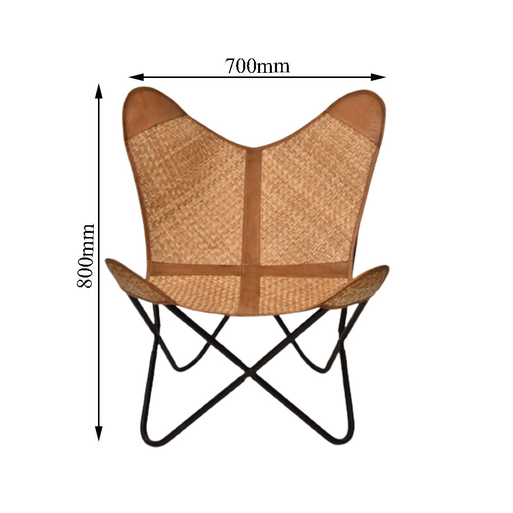 Chair, Black & Brown Chair, Chair with Metal Legs, Chair- EL6055