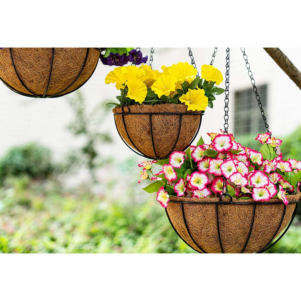 hanging planter 6 inch Hanging Plant (COIRGARDEN) Coir Hanging Basket/Planter 6 Inch-Pack – Furnisco