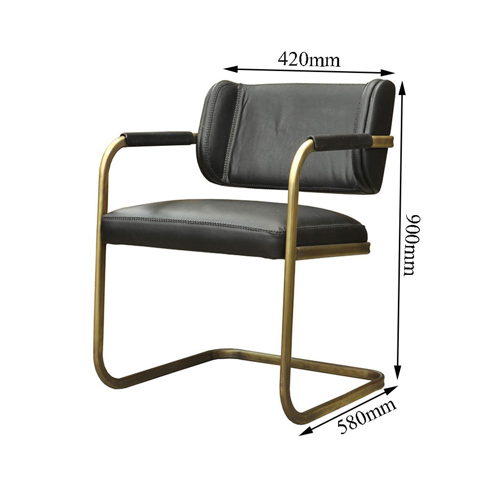 Chair, Black & Golden Chair, Chair with Metal Legs, Chair- VT6055