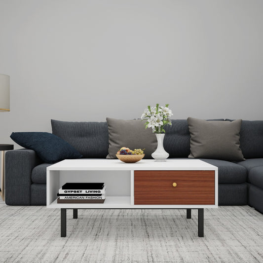Coffee Table, Center table, White Color & Wood Center Table, Center Table with shelf, Center Table with Drawer, Center Table -VT - 12066
