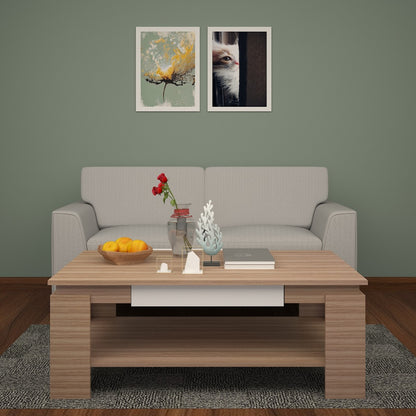 Coffee table, CenterTable, Wood & White Color Center Table, Center Table with shelf,  Center Table -EL - 12064