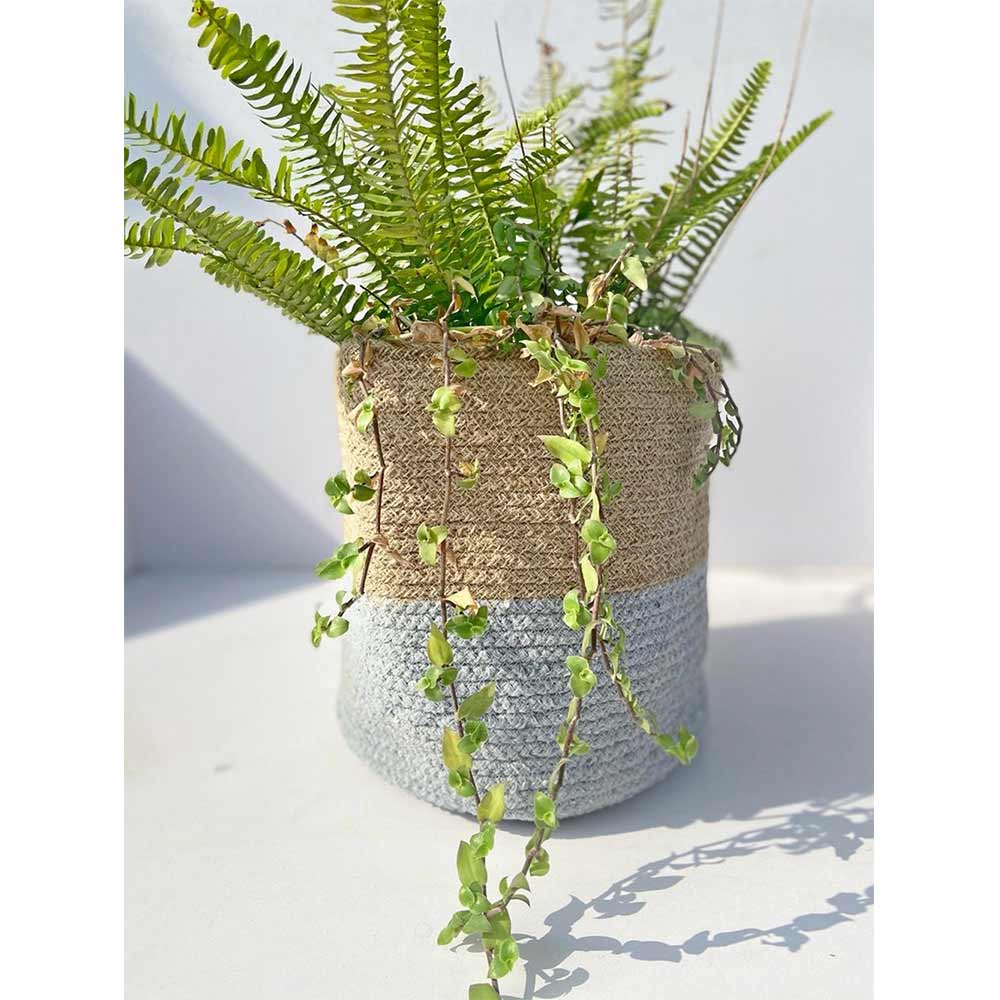 Storage Basket , (i163_10_1), Storage Basket With Beige & Grey Color, Storage Basket  - EL11061