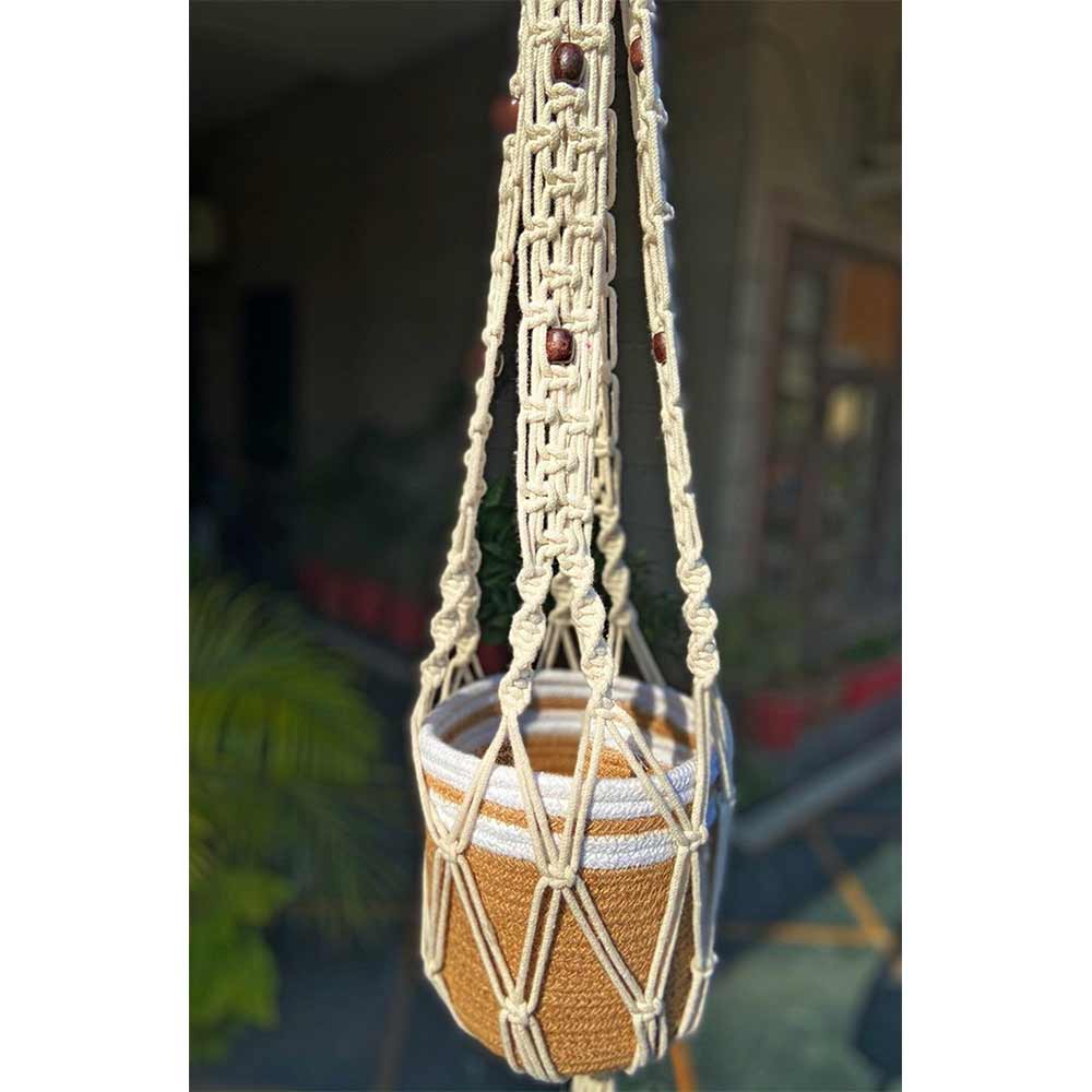 Hanging Plant (i154_1_1), Macrame Plant Hanger, Chain Locking, Pack of 1, Hanging Plant in White Color Hanging Plant - EL2158