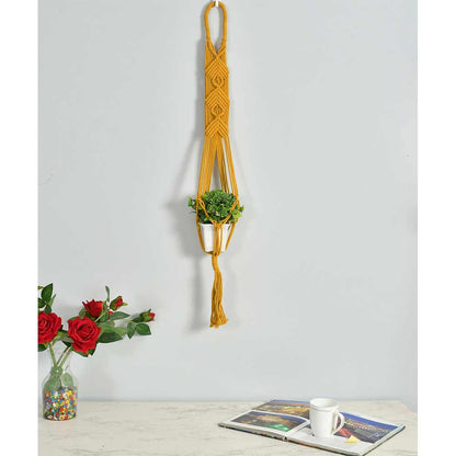 Hanging Plant (i143_1_1), Macrame Planter Pot Holder Hanging, Hanging Plant in Yellow Color Hanging Plant - EL2164