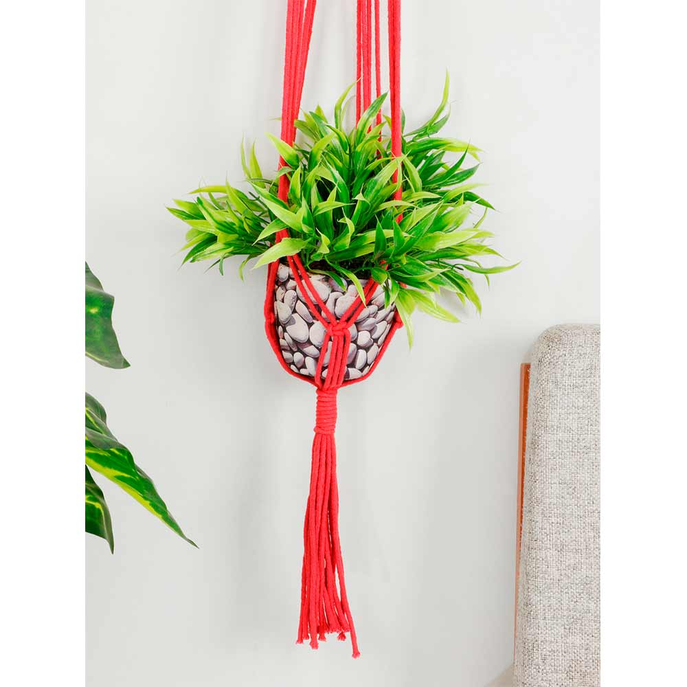 Hanging Plant (i143_5_1), Macrame Planter Pot Holder Hanging, Hanging Plant in Pink Color Hanging Plant - EL2166