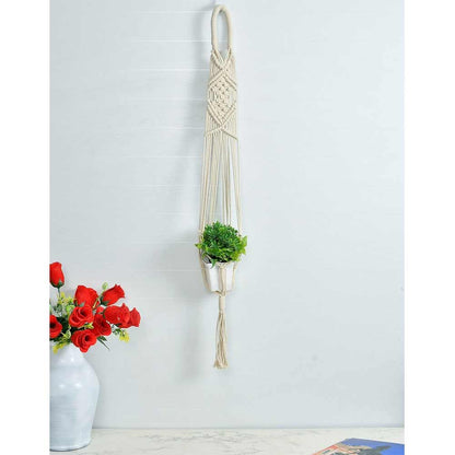 Hanging Plant (i73_1_1), Macrame Planter Pot Holder Hanging, Hanging Plant in White Color Hanging Plant - EL2171