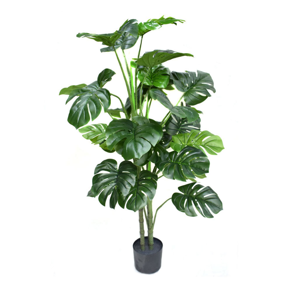 Planters, (Dekorr) AGRT-004
FT1900ER3173FT, Artificial Planters, Home Decor Plants, Planters - EL2279