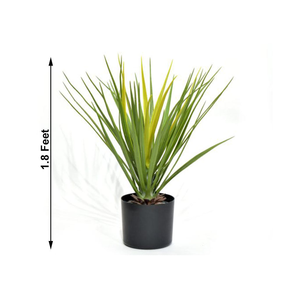 Planters, (Dekorr) AGRT-014
LY999ST1668LY, Artificial Planters, Home Decor Plants, Planters - EL2286