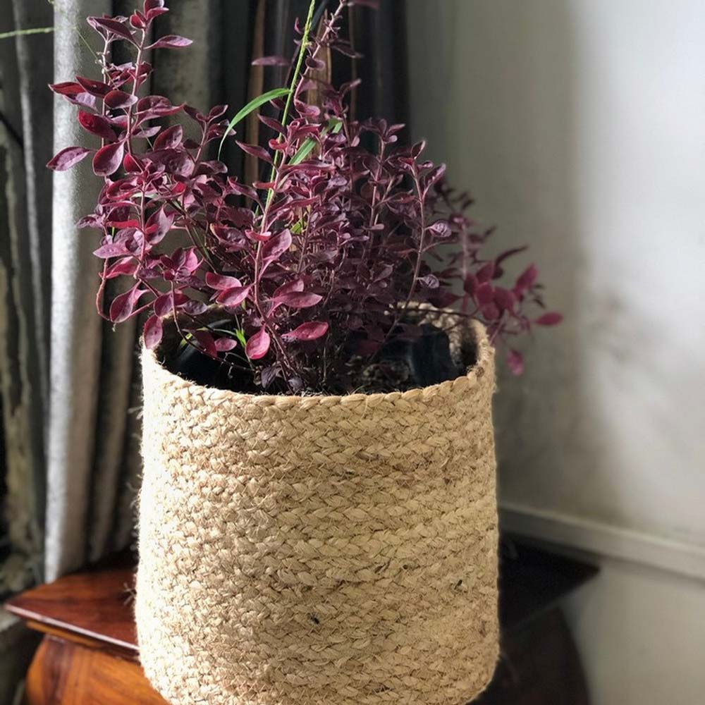 Storage Basket , (i76_8_1), Storage Basket With Beige Color, Storage Basket  - IM11054