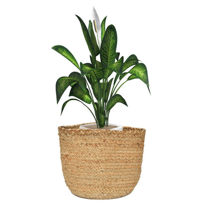 Storage Basket , (i76_8_1), Storage Basket With Beige Color, Storage Basket  - IM11054