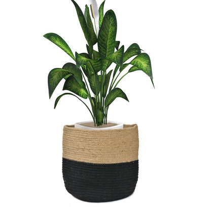 Storage Basket , (i74_8_1), Storage Basket With Beige & Black Color, Storage Basket  - IM11061