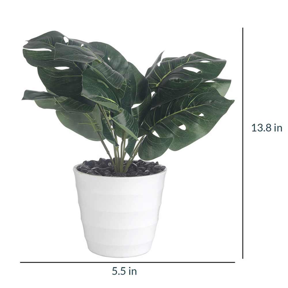 Table Decor (DE1958984-S-PM26503), Green Polyester and Plastic Artificial Money Plant with Pot by Foliyaj, Table Decor - IM15580