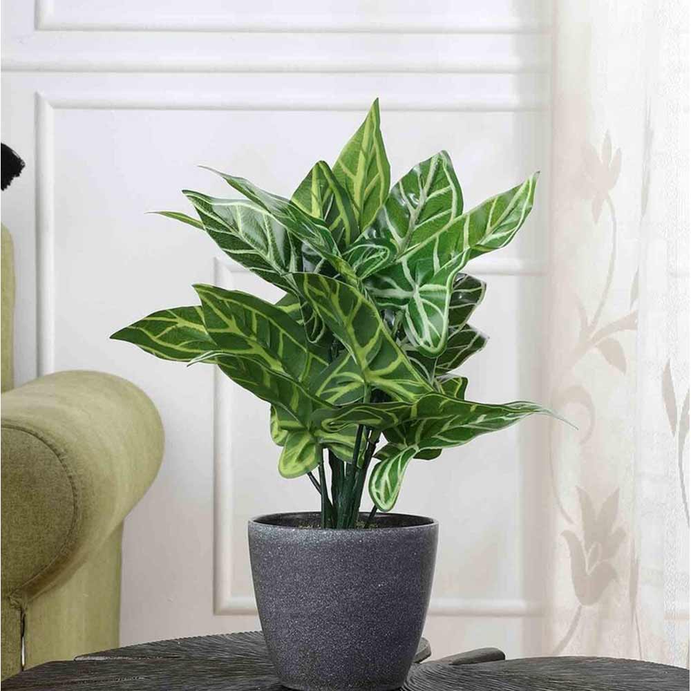 Table Decor (DE1934390-S-PM26503), Artificial Zebra Plant with Pot by Foliyaj, Table Decor - IM15582