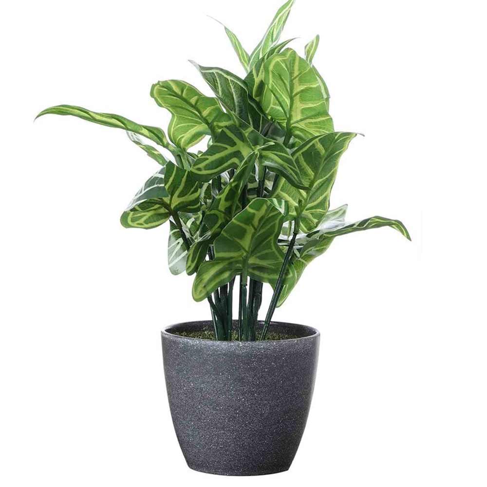 Table Decor (DE1934390-S-PM26503), Artificial Zebra Plant with Pot by Foliyaj, Table Decor - IM15582