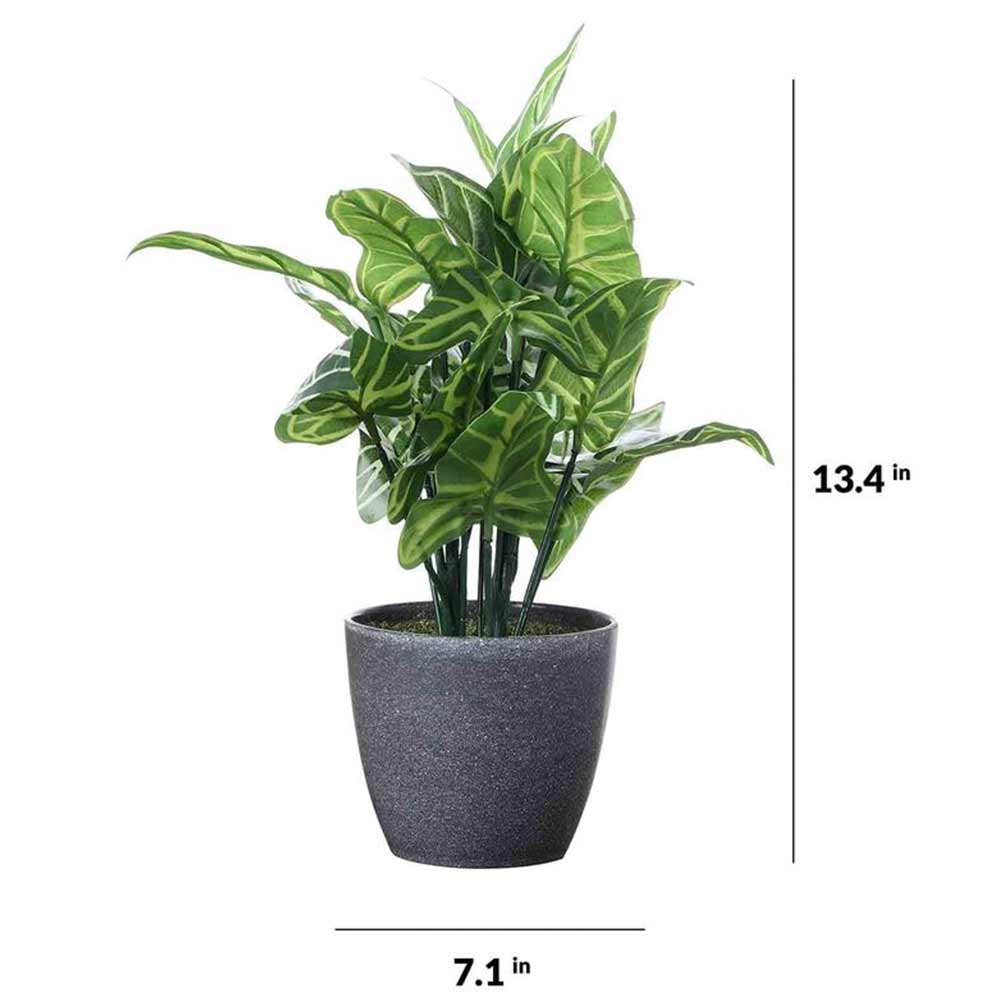 Table Decor (DE1934390-S-PM26503), Artificial Zebra Plant with Pot by Foliyaj, Table Decor - IM15582