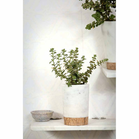 Table Accessory(MPL0002), Small Brown & White Glass Marble Planter, Planter - IM16022