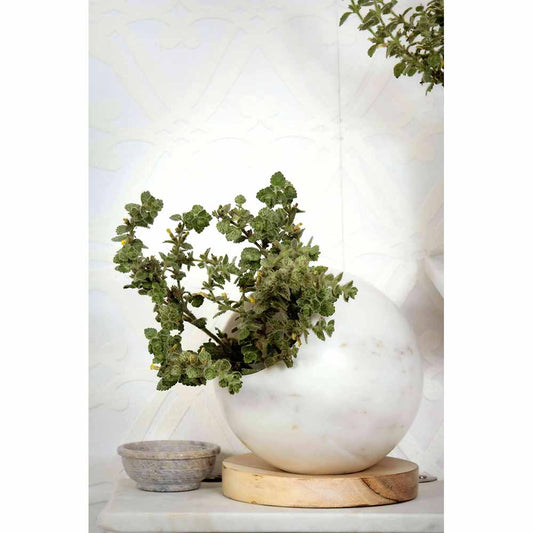 Table Accessory(MPL0006), Ball Planter with Wooden Plate, Planter - IM16023