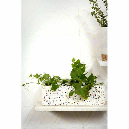 Planter, MPL0032 (Worldone), Rectangle Terrazzo Planter, Planter - IM16042