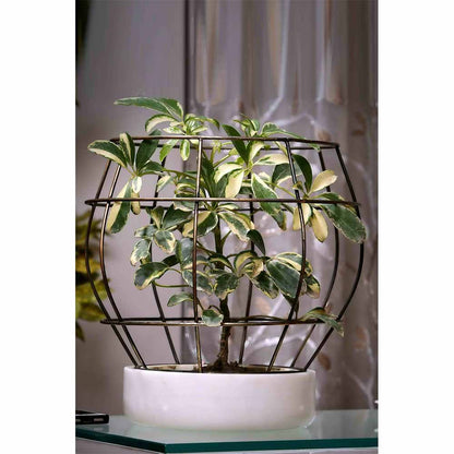 Planter, MPL0045 (Worldone), White Marble Base with Brass Antique Metal Net Planter, Planter - IM16047