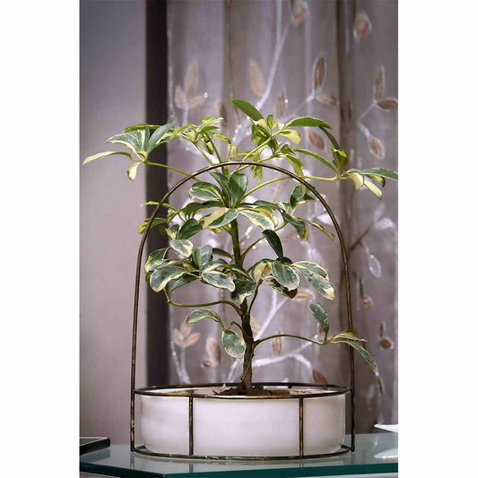 Planter, MPL0051 (Worldone), White Marble Base with Brass Antique Metal Trellis Planter, Planter - IM16049