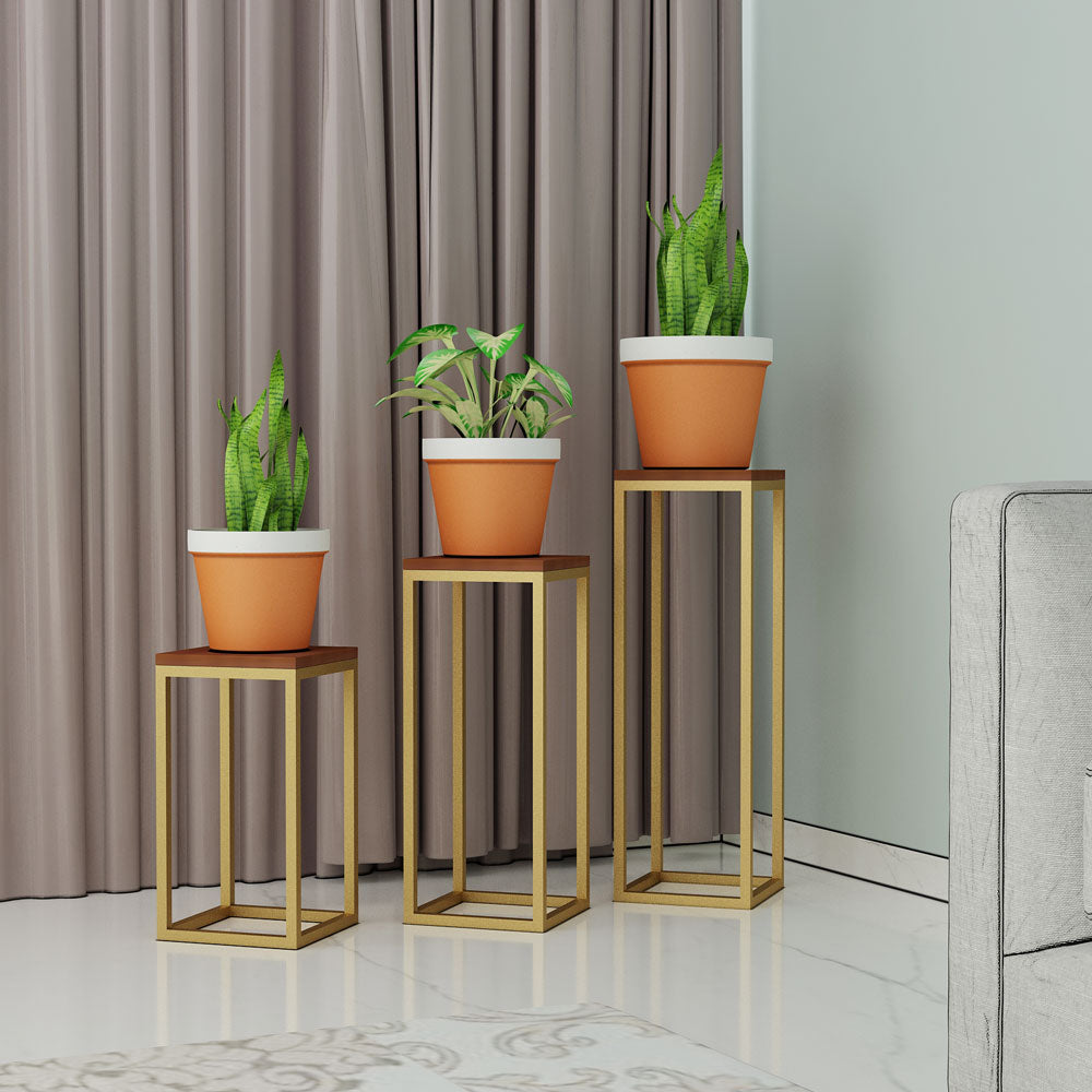 Planter Stand, Brown & Golden Color Plant Stand, MS Frame in Golden Finish, Planter Stand - IM2330