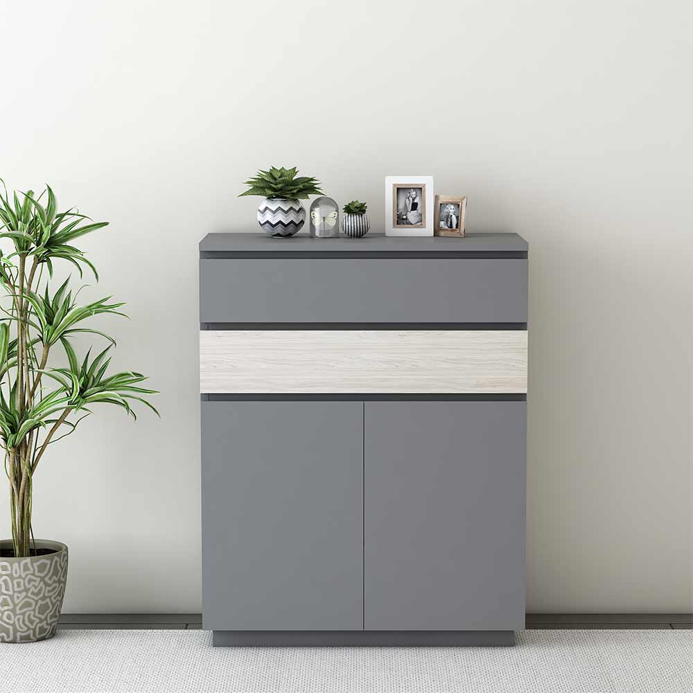 Modern Grey Shoe Cabinet with Dual-Tone Drawer, Adjustable Shelves & Dual Door Storage – VT-10070