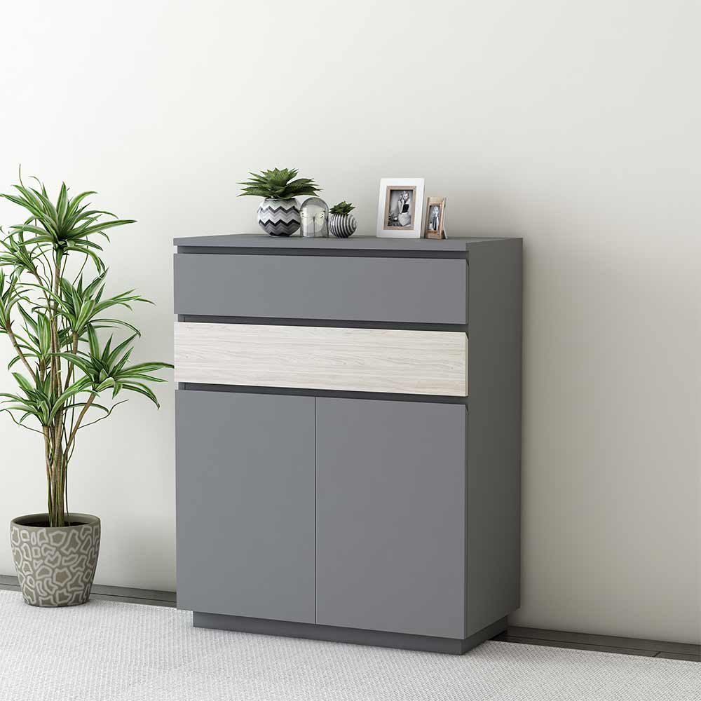 Modern Grey Shoe Cabinet with Dual-Tone Drawer, Adjustable Shelves & Dual Door Storage – VT-10070