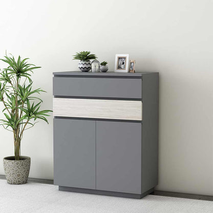 Modern Grey Shoe Cabinet with Dual-Tone Drawer, Adjustable Shelves & Dual Door Storage – VT-10070