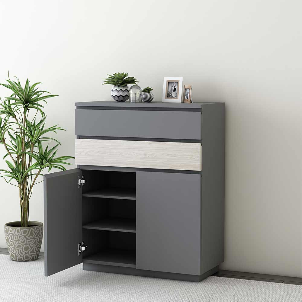 Modern Grey Shoe Cabinet with Dual-Tone Drawer, Adjustable Shelves & Dual Door Storage – VT-10070