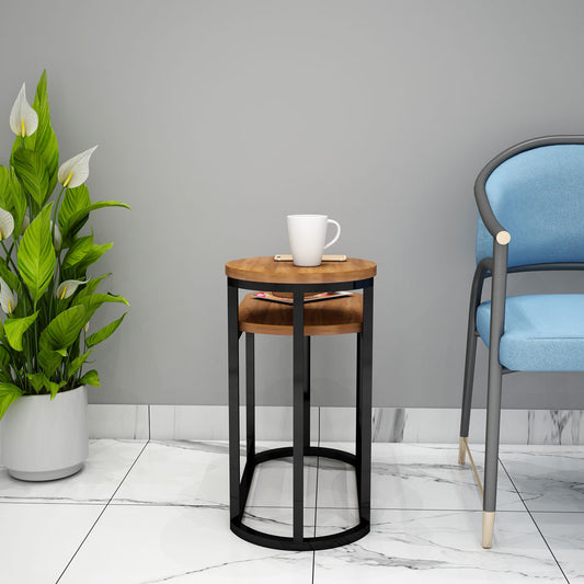 End Table, End Table for Living room, End Table with Wood Color, End Table with Black MS Frame, End Table - VT12107