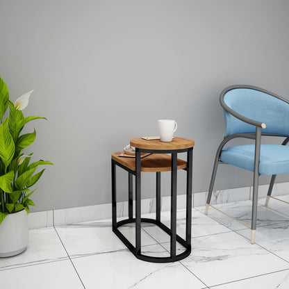 End Table, End Table for Living room, End Table with Wood Color, End Table with Black MS Frame, End Table - VT12107