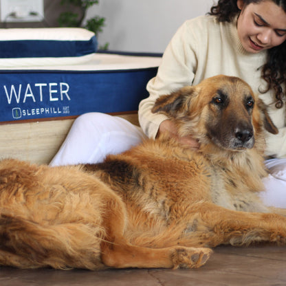 Mattress, (WA-6-7836) Sleephill Water Dual Comfort Foam Mattress - Single Bed Size - Mattress- VT15675