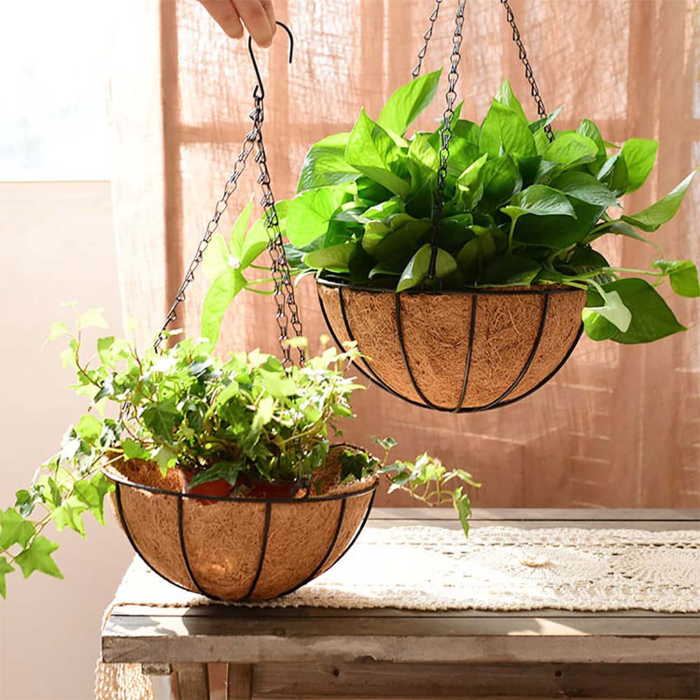 Hanging Plant (COIRGARDEN) � Coir Hanging Basket/Planter � 8 Inch-Pack of 2, hanging plant - VT 2270