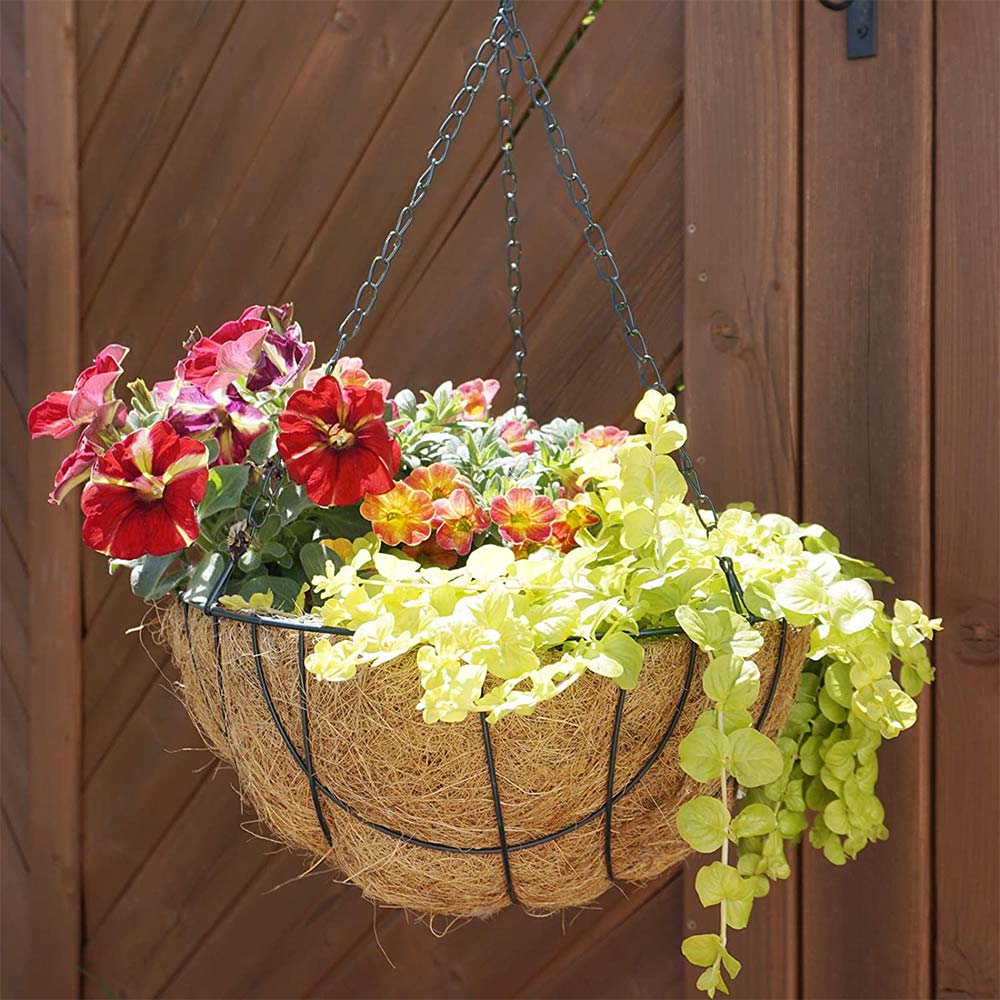 Hanging Plant (COIRGARDEN) � Coir Hanging Basket/Planter � 14 Inch-Pack of 2, hanging plant - VT 2276