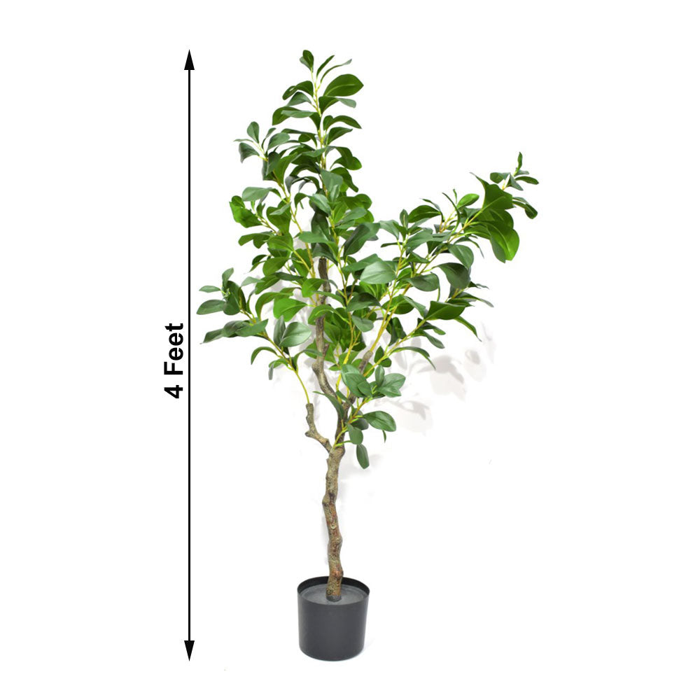 Planters, (Dekorr) AGRT-020
KU2199ST3672KU, Artificial Planters, Home Decor Plants, Planters - VT2298