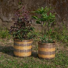 Storage Basket (KBSB6), Kraftinn Bamboo Paper Bin -Set of 2, Storage Basket with Yellow & Brown Color, Storage Basket  - VT11036