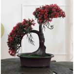 Table Decor (DE1934414-S-PM26503), Artificial Shoe Horn Shaped Bonsai Tree with Red Leaves with Pot by Foliyaj, Table Decor - IM15587