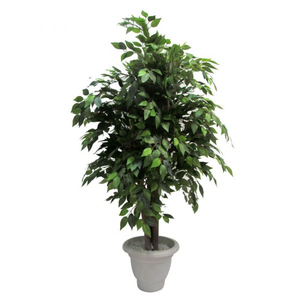 Plants, (Dekorr) Light Green, Artificial Plants, Home Decor Plants, Plants - EL2310