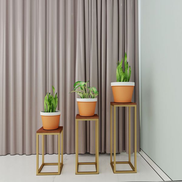 Planter Stand, Brown & Golden Color Plant Stand, MS Frame in Golden Finish, Planter Stand - IM2330